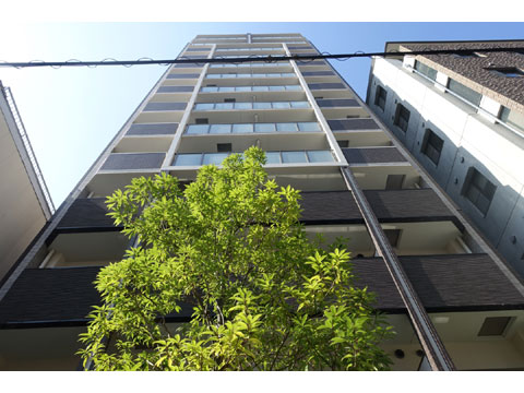 現地外観写真　DSC02265