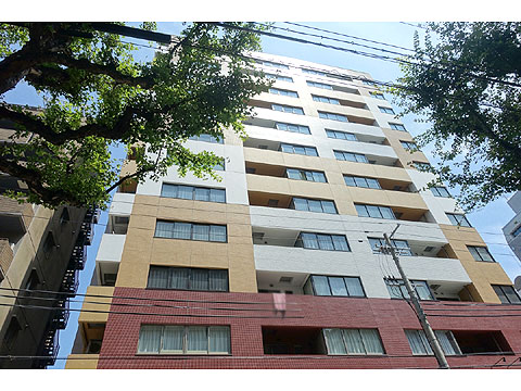 現地外観写真　DSC07242