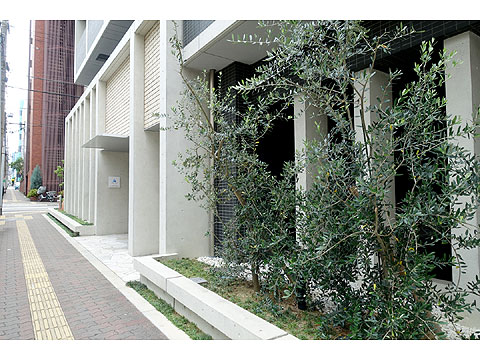 現地外観写真 DSC04911