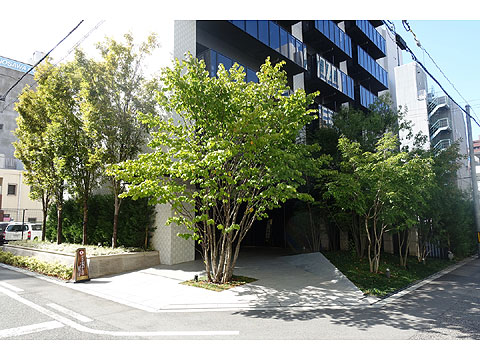 現地外観写真 DSC00865