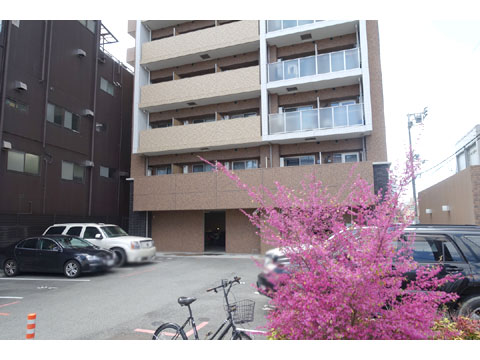 現地外観写真　DSC02549