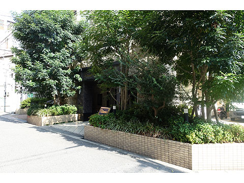 現地外観写真　DSC01822