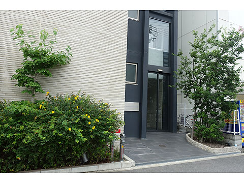 現地土地写真　DSC06978