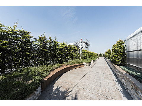 その他共用部 屋上