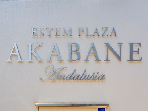 その他共用部 エステムプラザ赤羽アンダルシア202 (8)