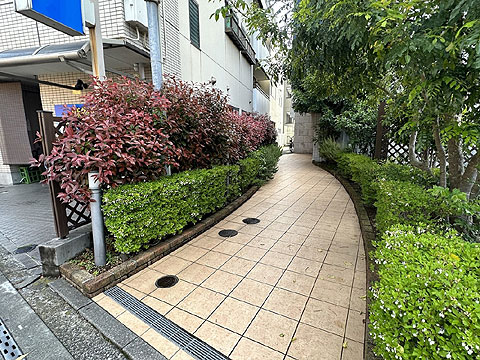 その他共用部 エントランスアプローチ