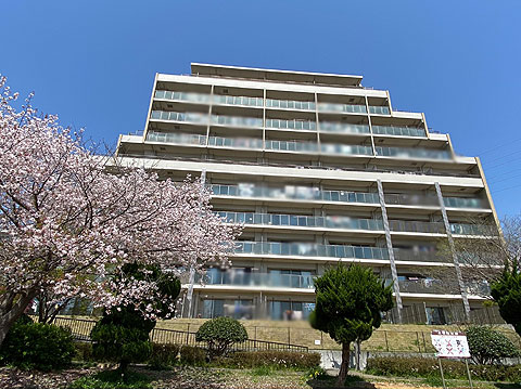 現地外観写真　マンション南側より撮影