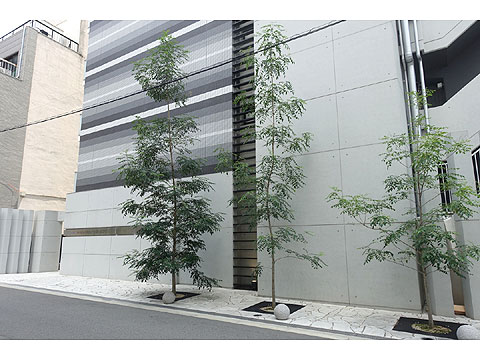 現地外観写真　DSC06817