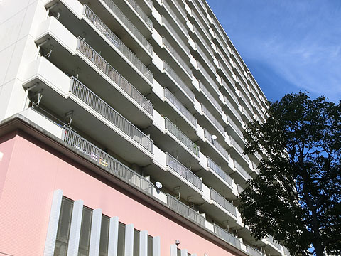 その他共用部　外観２南側