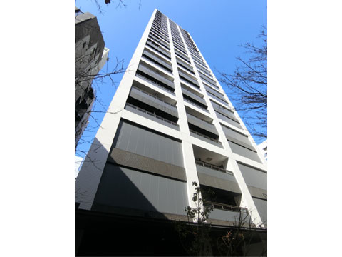 現地外観写真 棟写真たて(ローレルタワー心斎橋⑤)