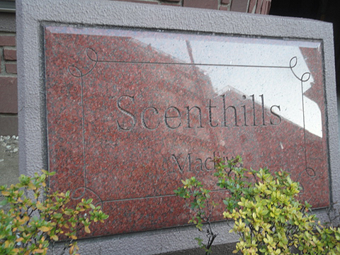 その他共用部　写真1