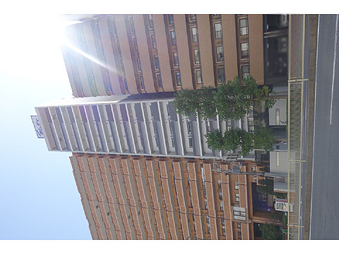 現地外観写真　DSC00733