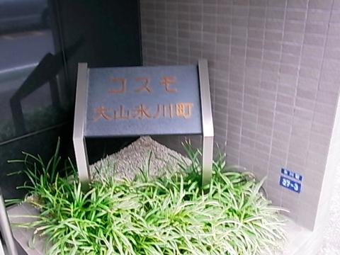 その他共用部　写真1