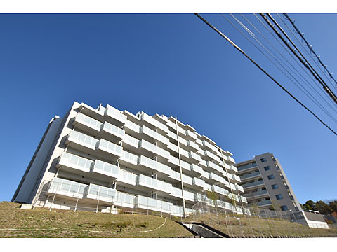 現地外観写真 テラスレジデンス