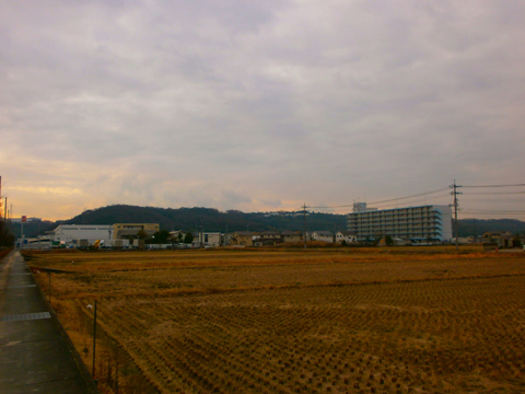 現地外観写真 現地外観