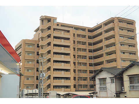 現地外観写真 外観