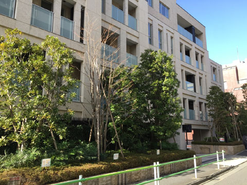 現地外観写真 外観2