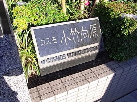 その他共用部　写真1