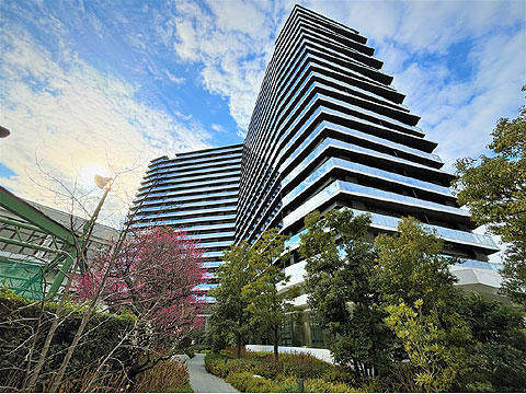 現地外観写真　外観