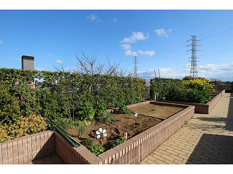 その他共用部 屋上庭園②