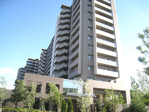 現地外観写真 外観