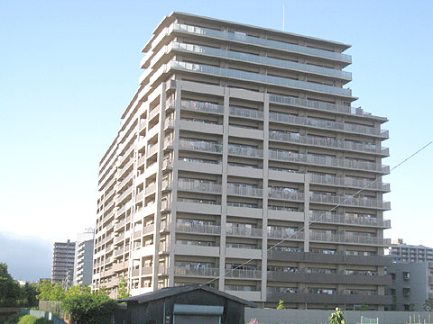 現地外観写真 外観