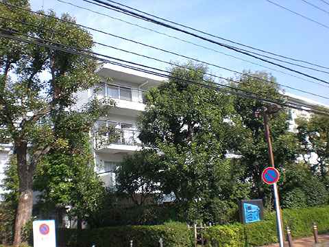 現地外観写真 外観