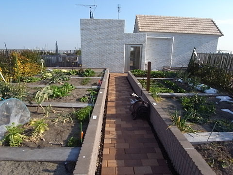 その他共用部　屋上菜園