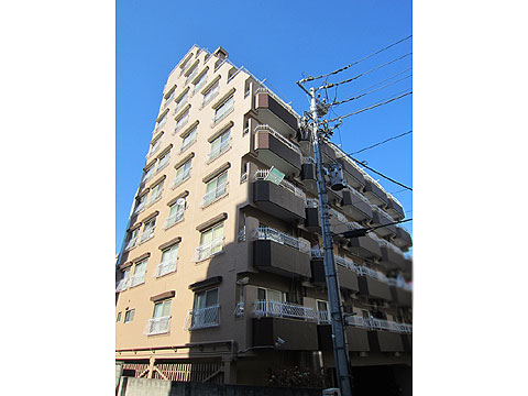 現地外観写真 外観