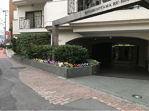 現地外観写真　外観１