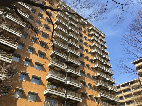 現地外観写真 外観34