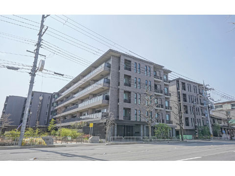 現地外観写真 外観