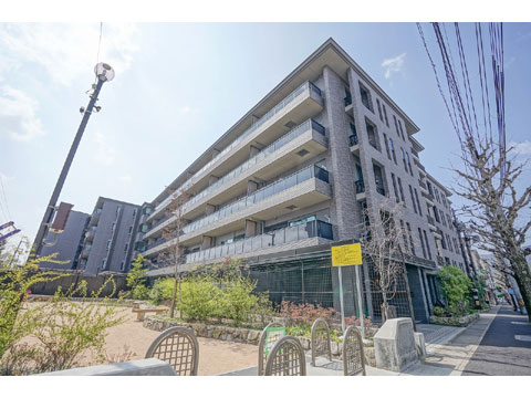 現地外観写真 外観