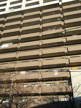 その他共用部 外観5