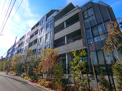 現地外観写真 外観