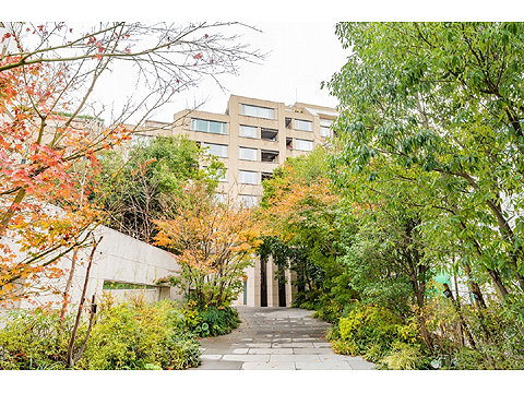 現地外観写真 外観