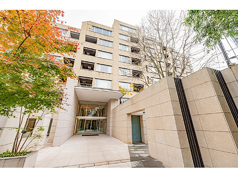 現地外観写真 外観