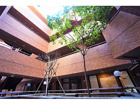 現地外観写真 現地外観写真