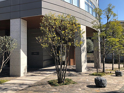 エントランス　エントランス