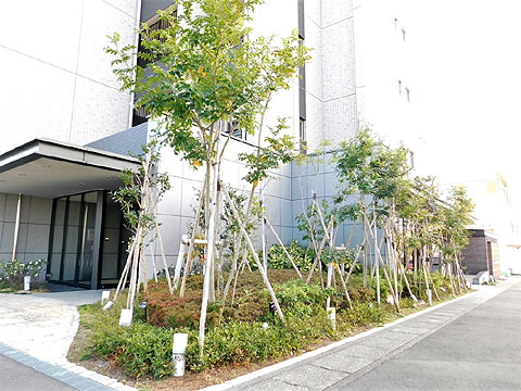 その他共用部 植栽