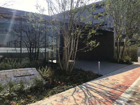 エントランス　IMG_3381