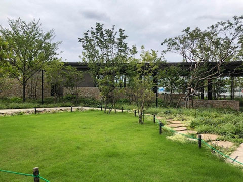 その他共用部　庭1