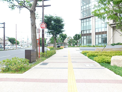 現地土地写真 前面道路