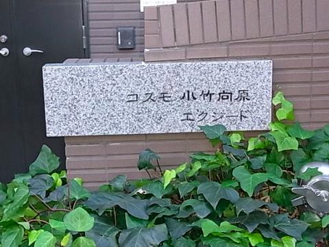 その他共用部　写真1