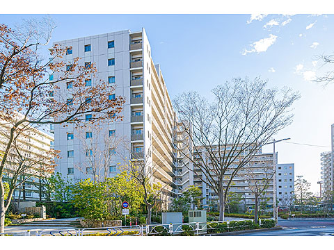 現地外観写真　外観