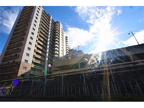 現地外観写真 外観フォルム:北側