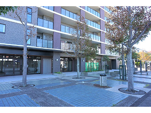 現地外観写真 アプローチ