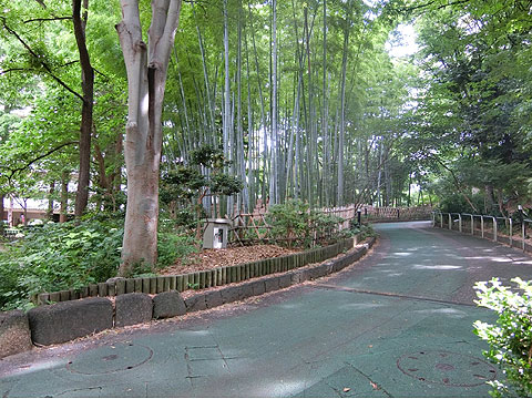 その他共用部 サンシティ敷地内遊歩道