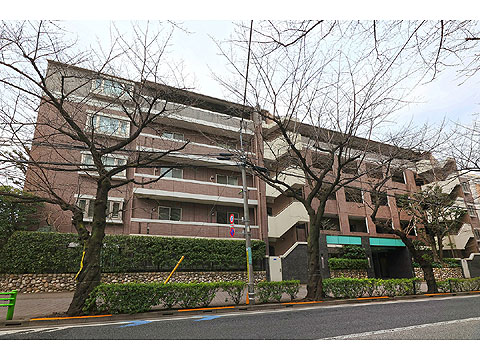 現地外観写真 外観