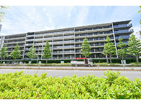 現地外観写真 外観